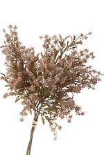 Flora and Fauna Bundle - grey