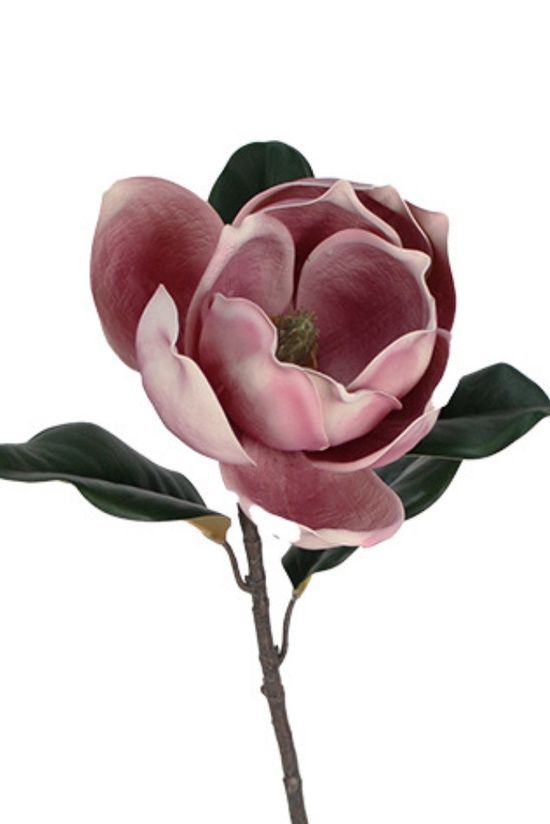 Vintage Magnolia - 73cm, Colour: Dark Mauve
