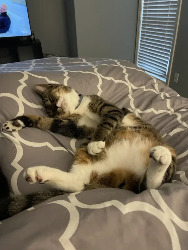 Sleep
