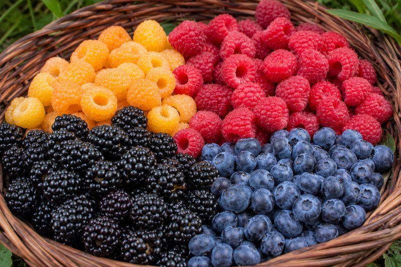 Berries
