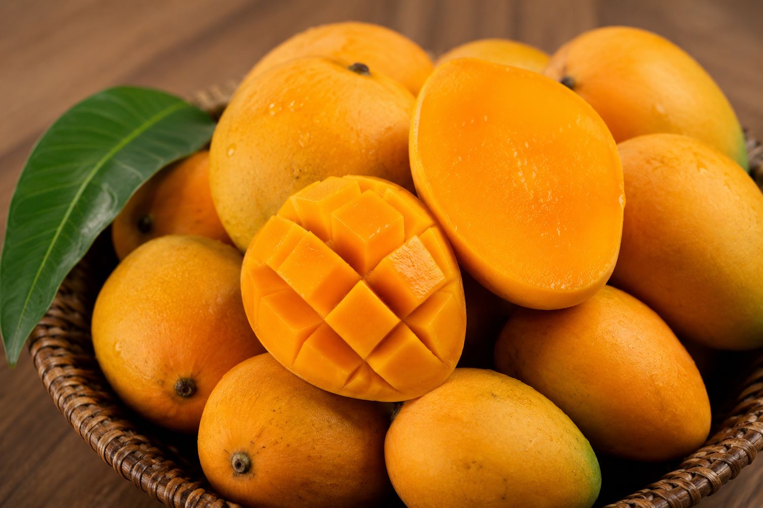 Dwarf Grafted Alphonso Mango (Mangifera indica)