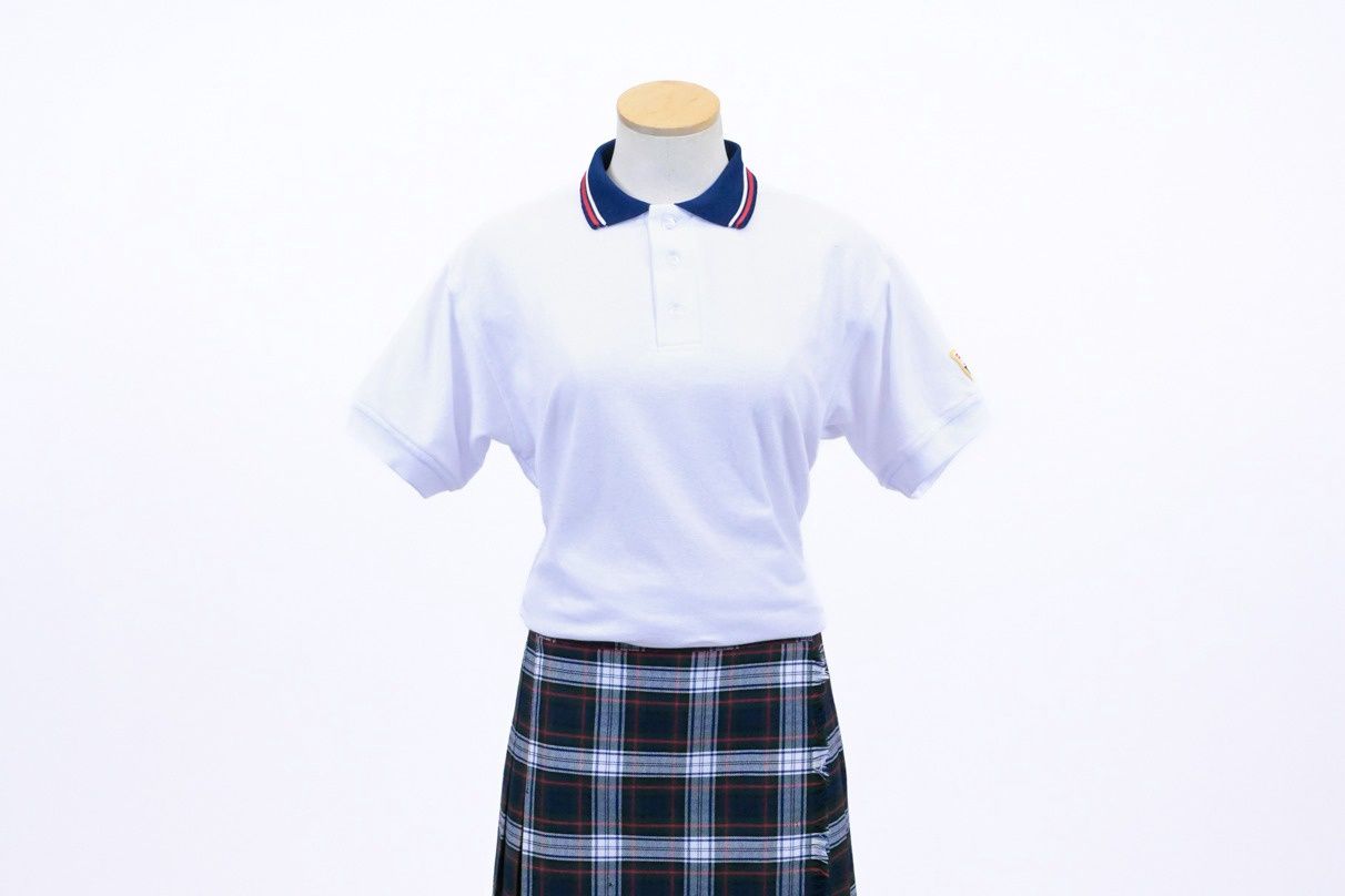 Fitted Polo Shirt Navy Collar