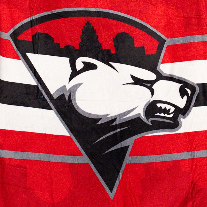 Charlotte Checkers Blanket