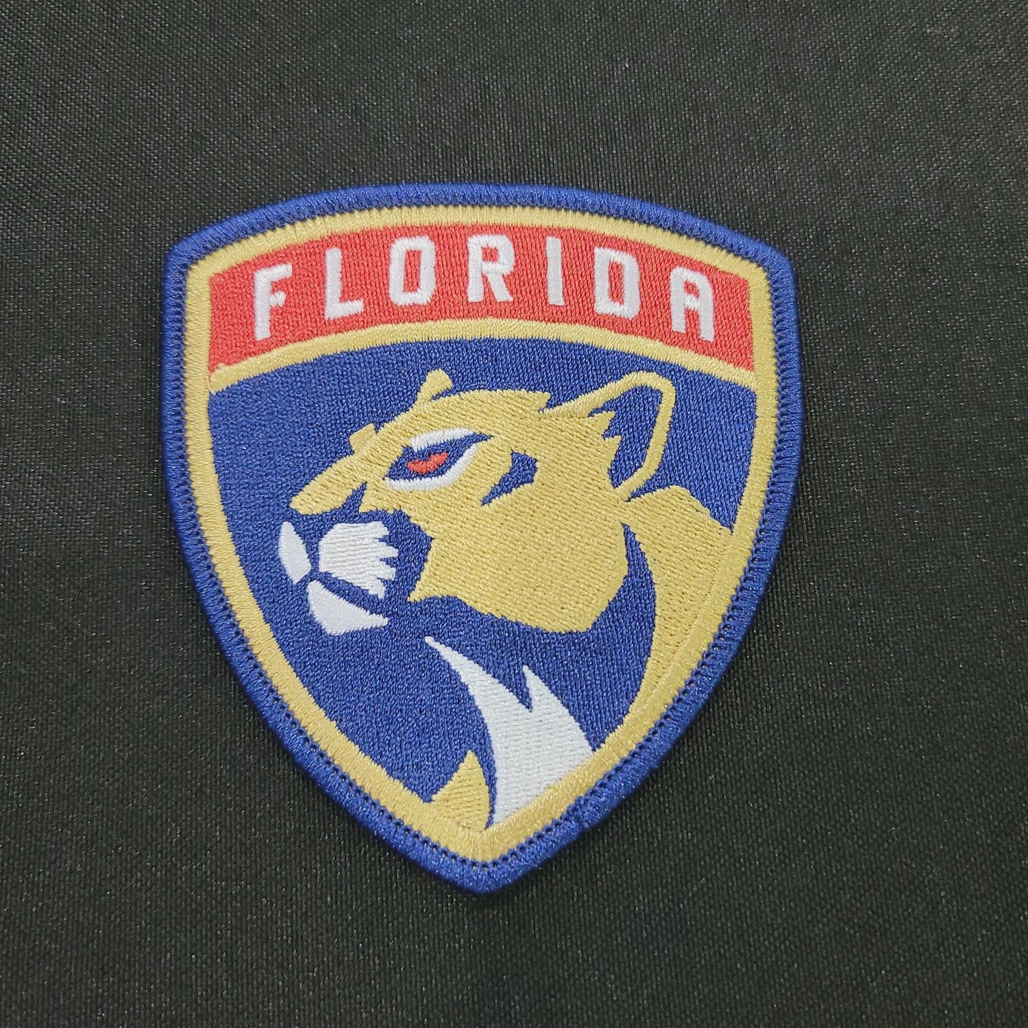 Florida Panthers Patch