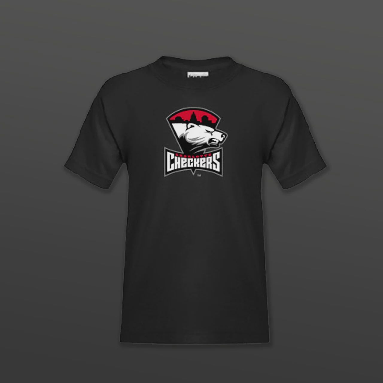 Youth Primary Logo Tee