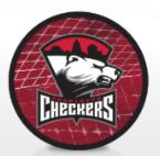 Checkers Hockey Net Puck
