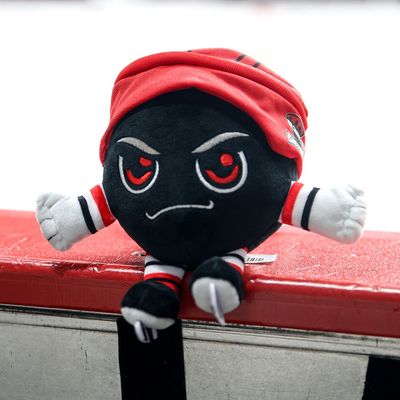 Charlotte Checkers Chubby Plush Puckman