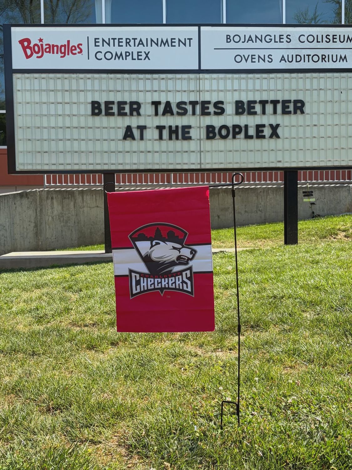 Checkers Garden Flag