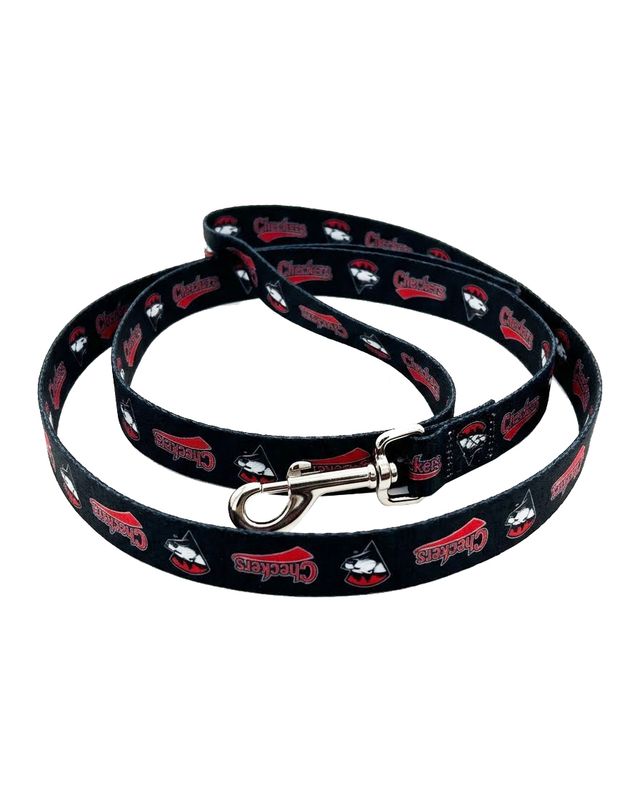 Checkers Dog Leash