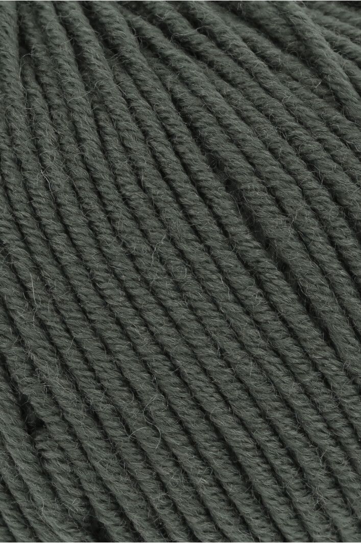 Lang Yarns Merino 120 | 0098 olijf