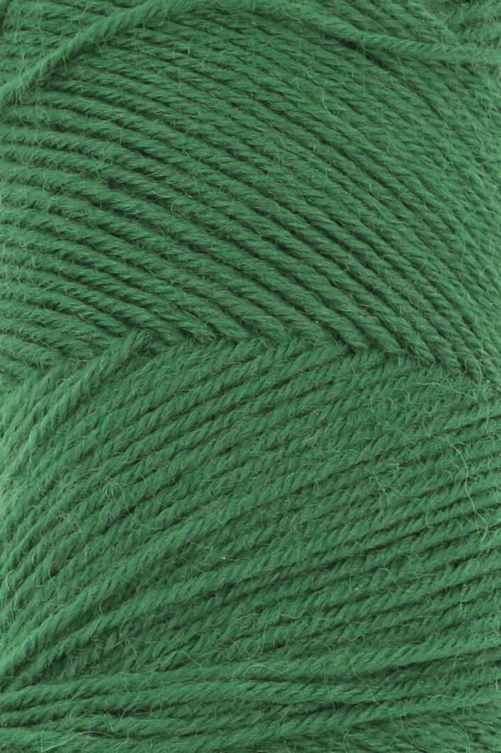 Lang Yarns Jawoll | 0317 donkergroen
