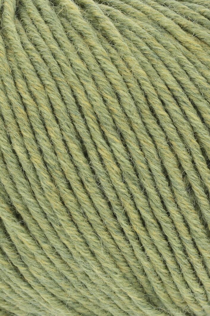 Lang Yarns Merino 120 | 0297 licht olijf melange