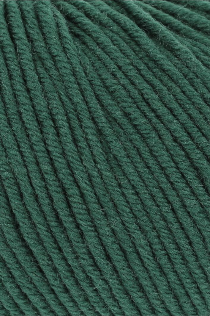 Lang Yarns Merino 120 | 0318 donkergroen