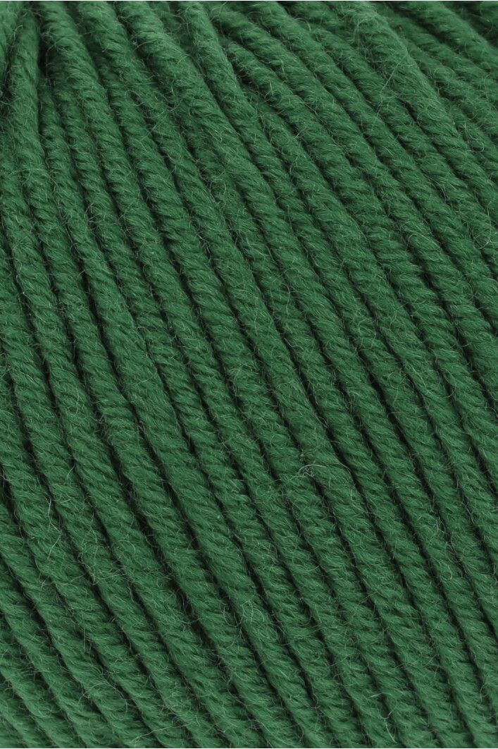 Lang Yarns Merino 120 | 0417 gras groen