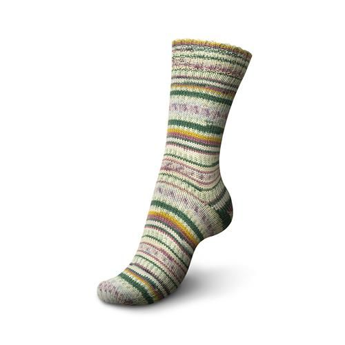 Regia Design Line Color 6-ply | 4015