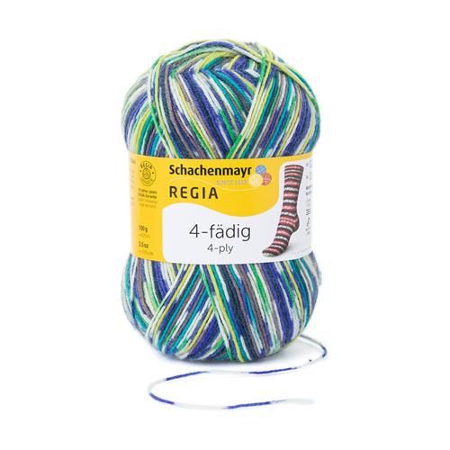 Regia Color 4-ply | 7205