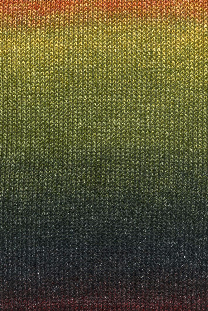 Lang Yarns Quattro Degradé | 0009 groen/rood/geel