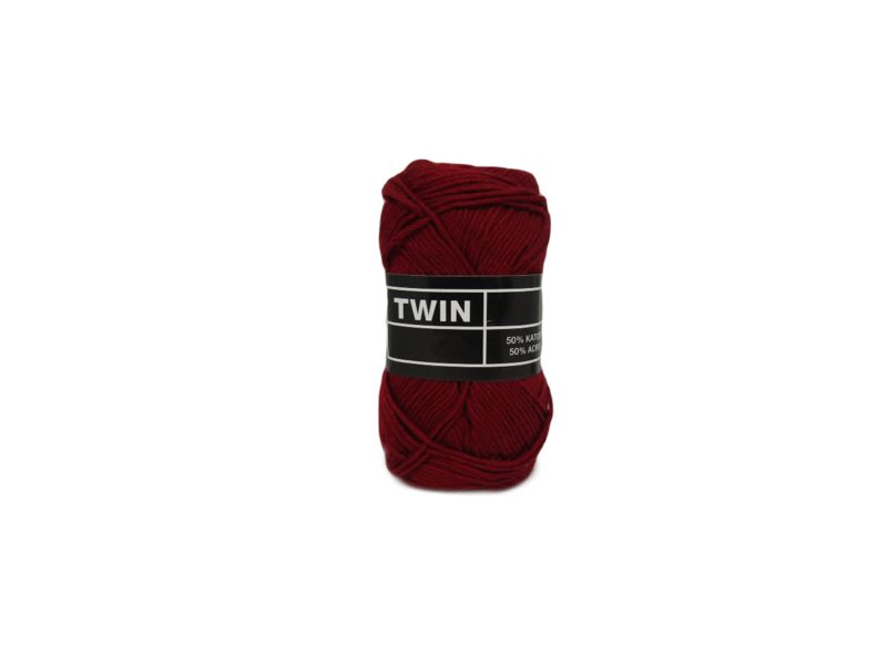 Twin | 261
