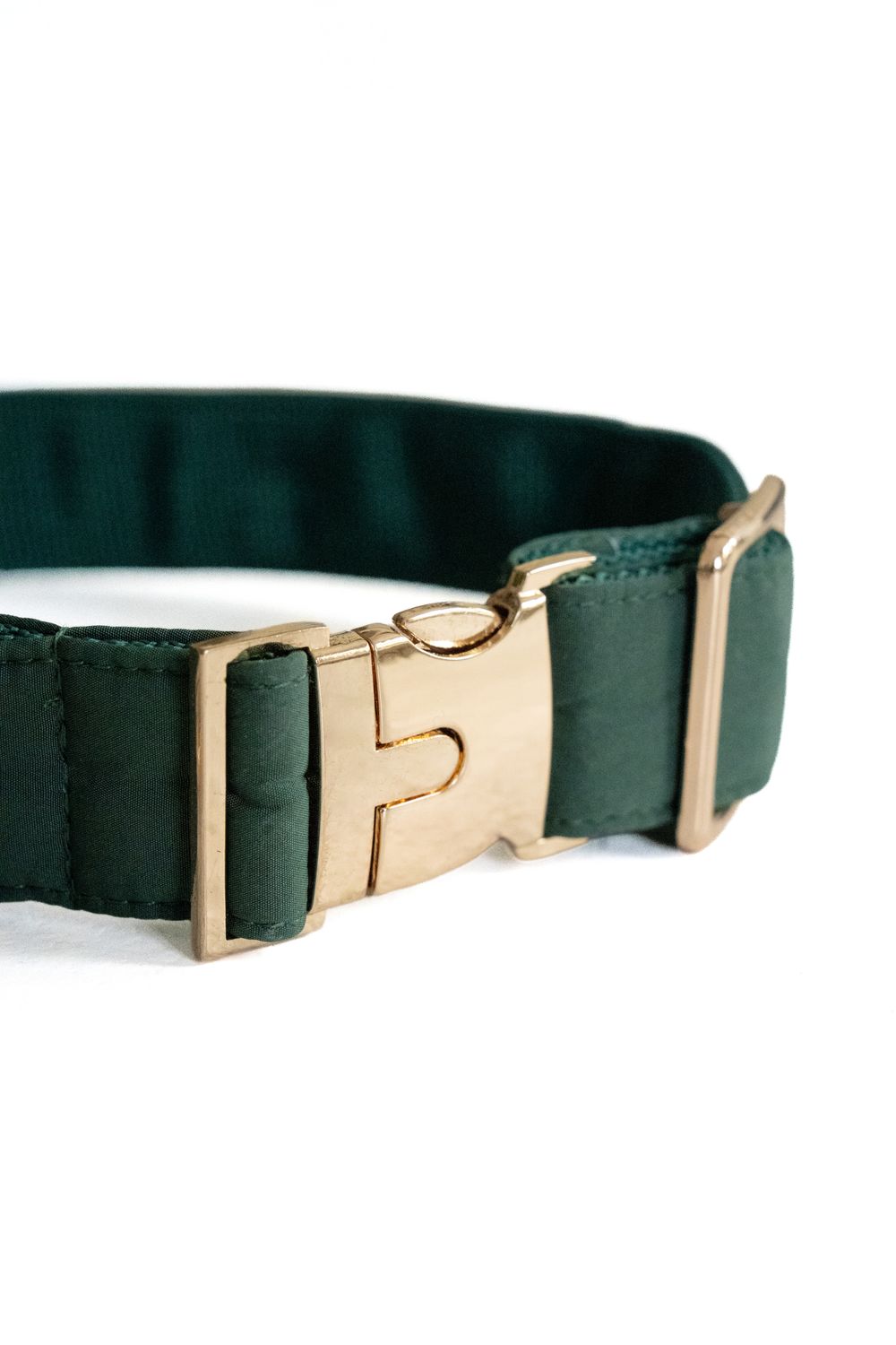 Dog Collar