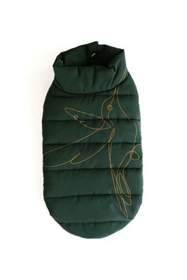 Dog Jacket