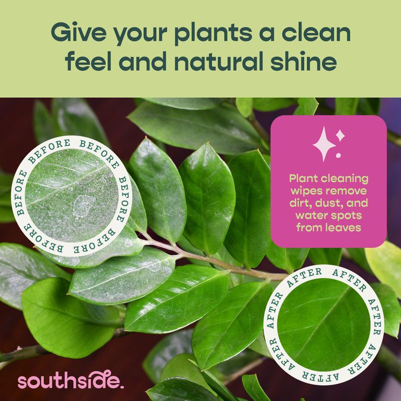 Plant Cleaning Wipes
