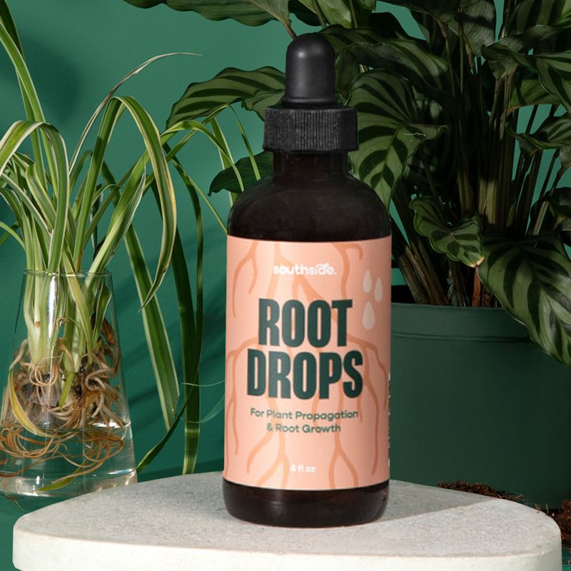 Root Drops