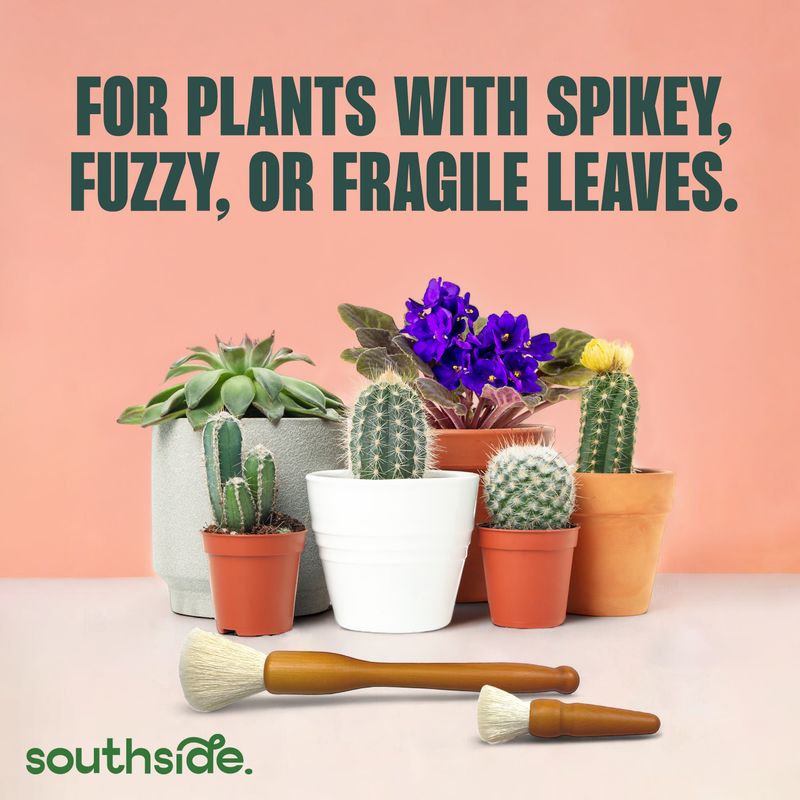 Cactus Dusting Brushes