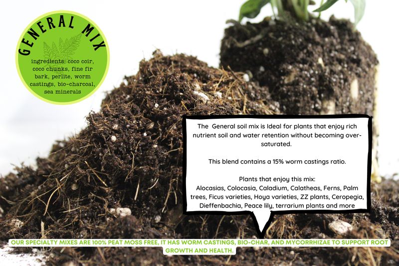 General Blend Potting Media