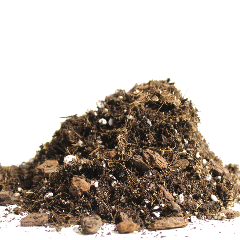 Aroid Blend Potting Media