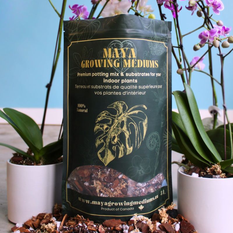 Orchid Blend Potting Media