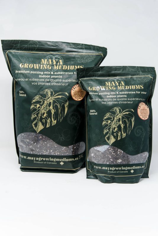 Cactus Blend Potting Medium