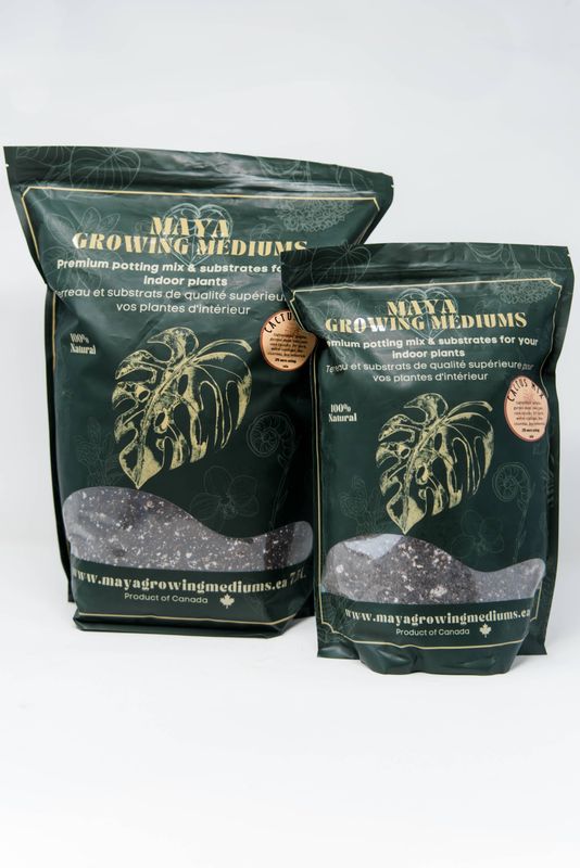 Cactus Blend Potting Medium