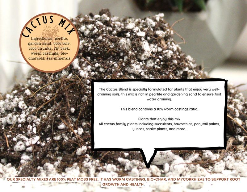 Cactus Blend Potting Medium