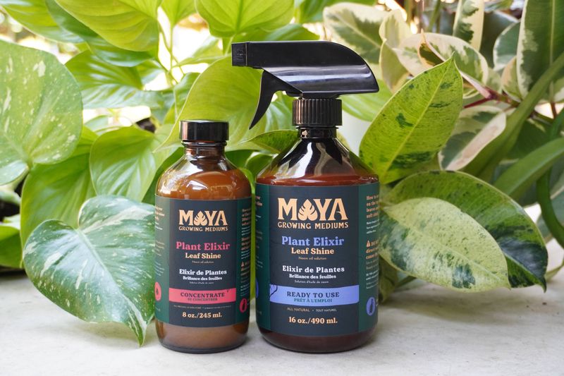 Plant Elixir Leaf Shine Spray