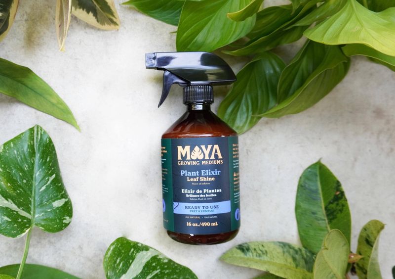 Plant Elixir Leaf Shine Spray