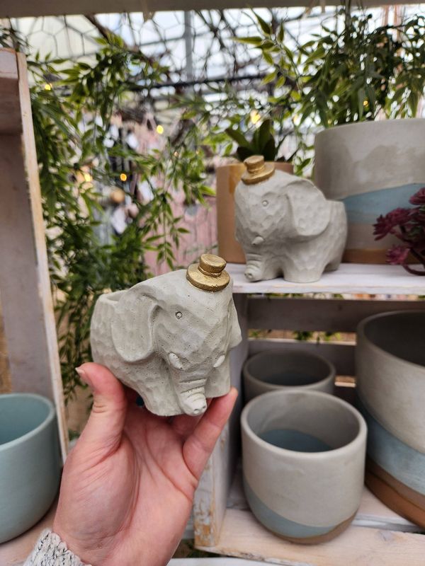Edward The Elephant