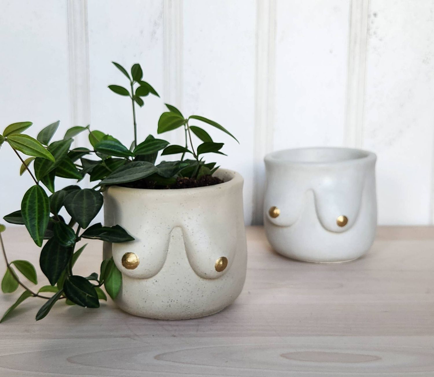 Golden Boob Planter