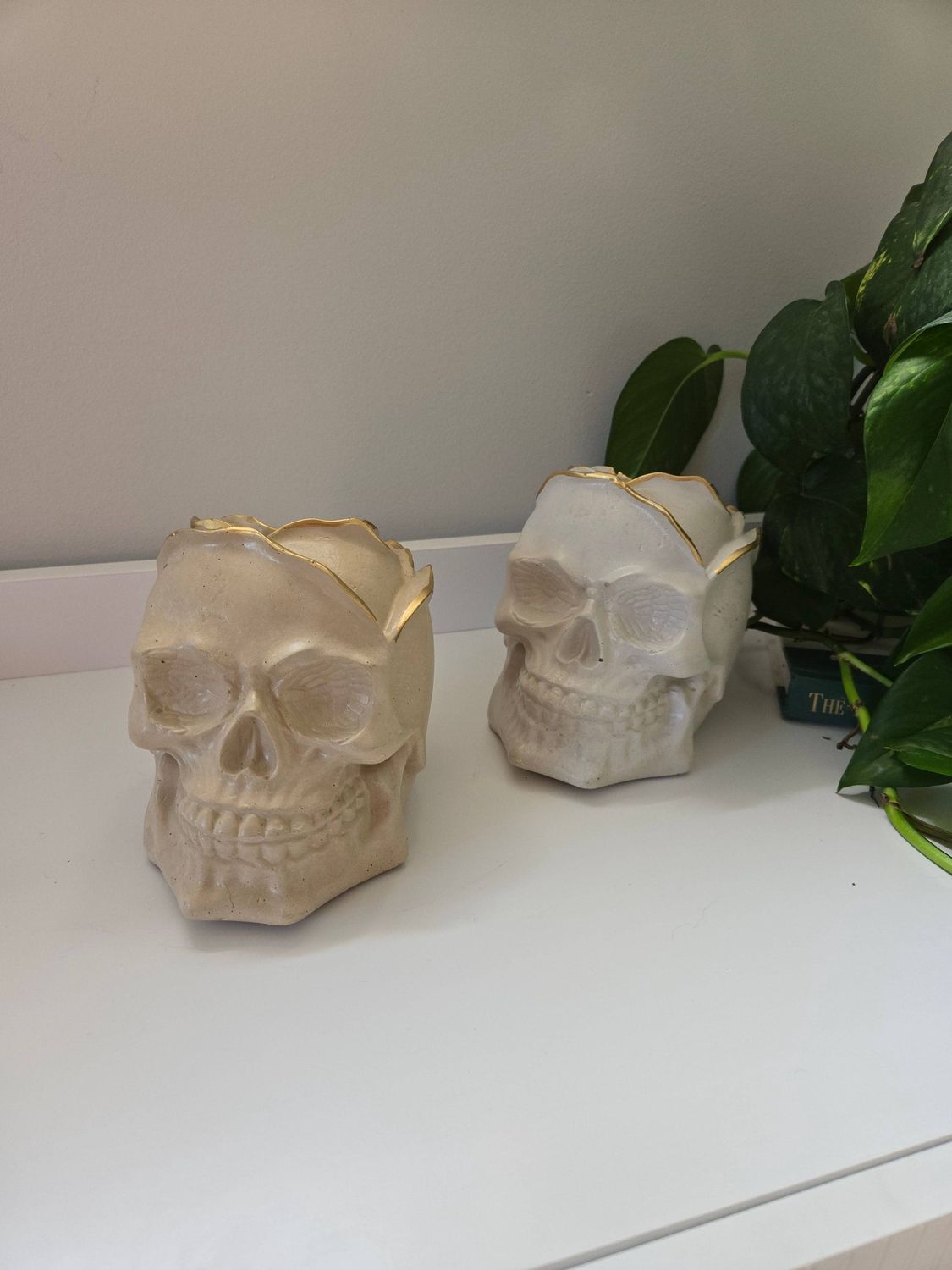 Rose Petal Skull, Color: Cream