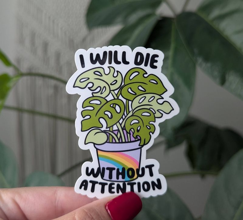 I Will Die Without Attention | 3"