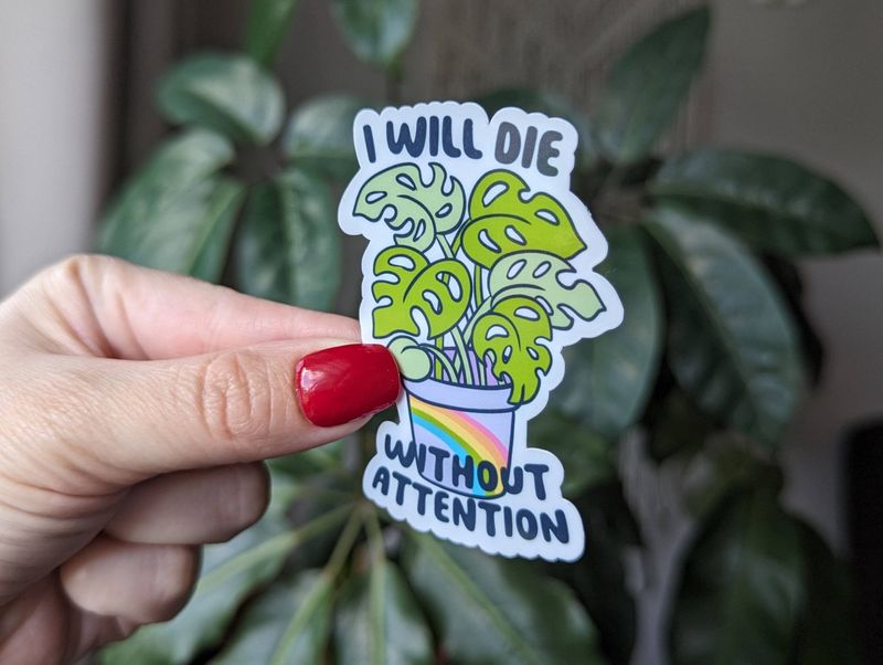 I Will Die Without Attention | 3"