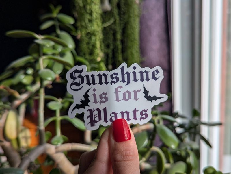 Sunshine is For Plants | 3"