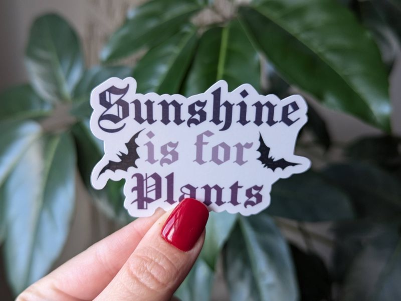 Sunshine is For Plants | 3"