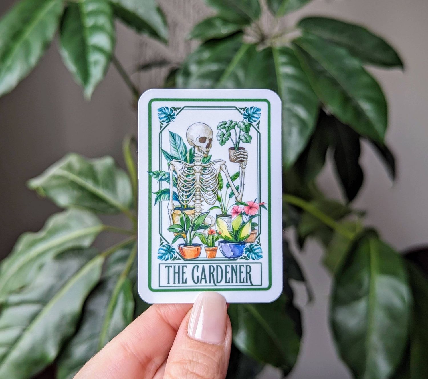 The Gardener | 3"