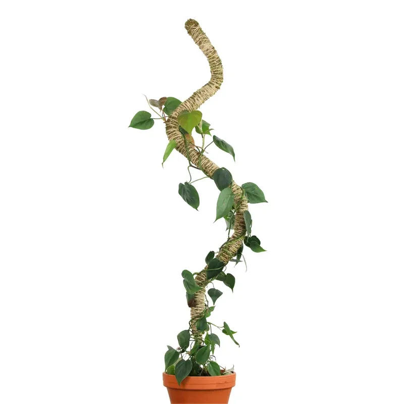 Bendable Moss Pole