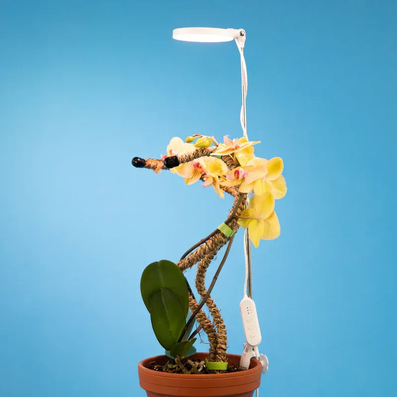 Adjustable LED Plant Light, Colour: White