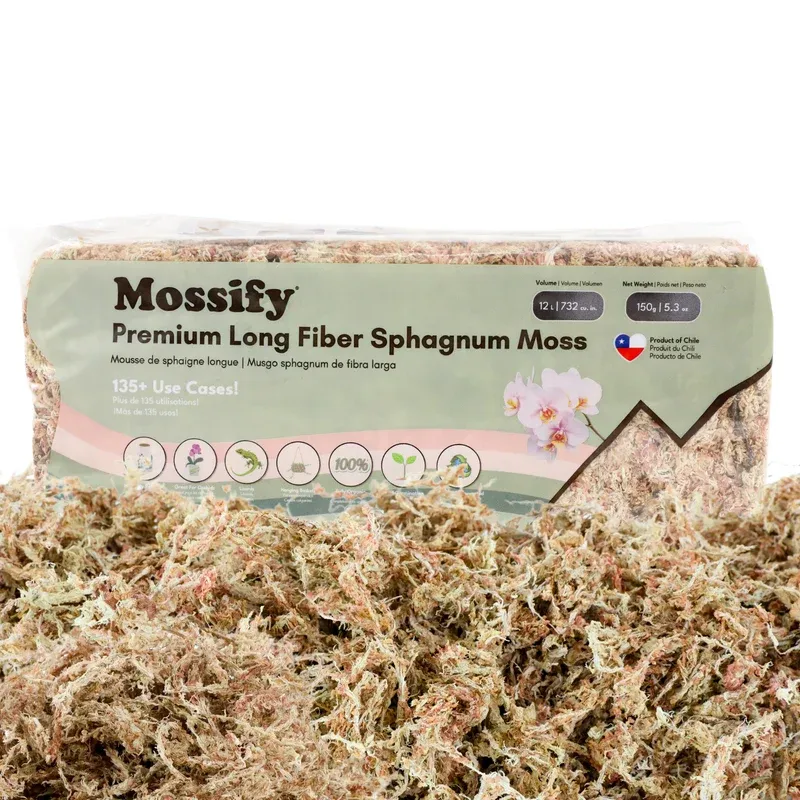 Sphagnum Moss