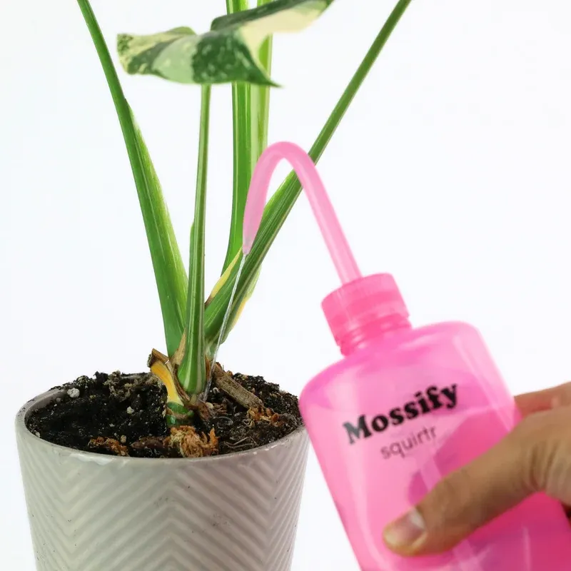 Squirtr Bottle