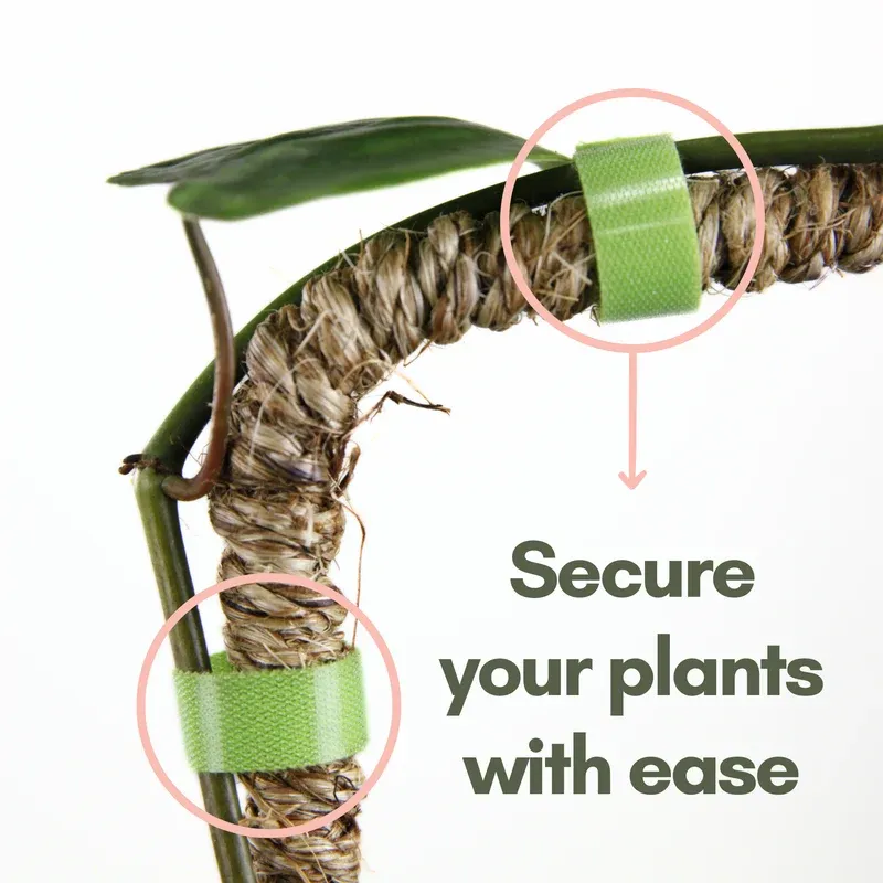 Plant Tape