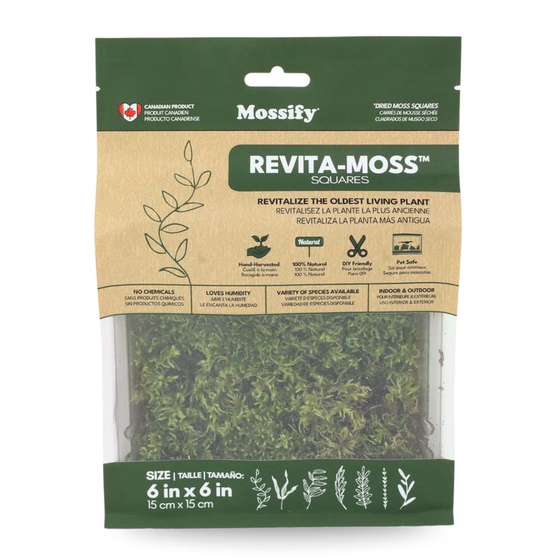 Revita-Moss - Forest Moss (Pleurozium schreberi)