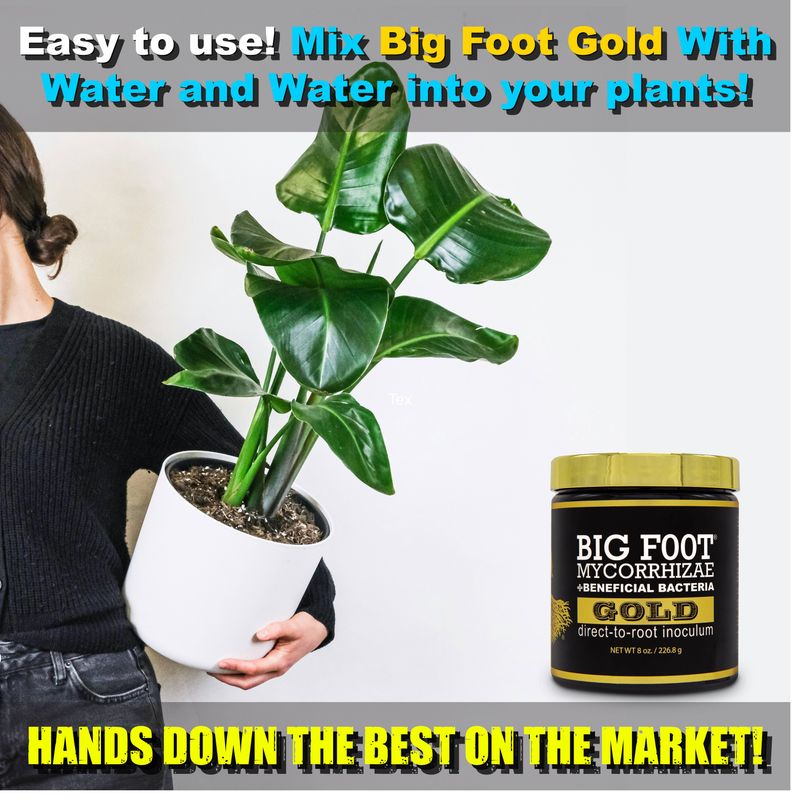 Big Foot Mycorrhizae Gold